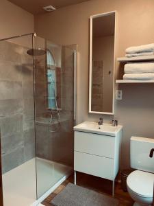 a bathroom with a shower and a sink and a toilet at La Duchesse d'Aumale in Spa