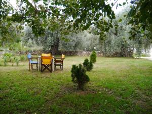 a table and chairs sitting in a yard at Blue Sky Apartments in Skala Potamias