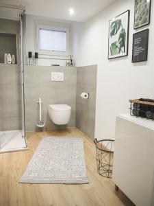 a bathroom with a toilet and a shower and a rug at Stylische Wohnung in ruhiger Lage, sehr messenah in Laatzen