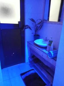 een badkamer met een wastafel en een potplant bij Swahili House & Art in Arusha