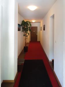 Fotografie z fotogalerie ubytování Nérine v destinaci Leysin