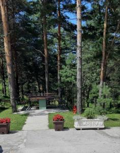 حديقة خارج Apartman Lola, Divcibare