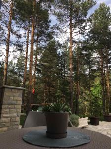 حديقة خارج Apartman Lola, Divcibare