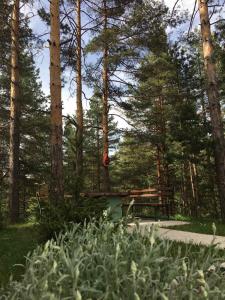 حديقة خارج Apartman Lola, Divcibare