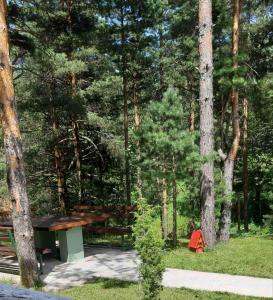حديقة خارج Apartman Lola, Divcibare