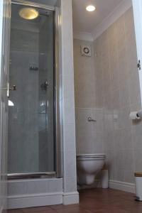 uma casa de banho com um WC e uma cabina de duche em vidro. em The Sportsman Chalets em Kent