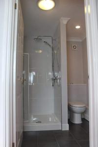 a bathroom with a shower and a toilet at The Sportsman Chalets in Kent