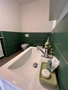 a bathroom with a sink and a green wall at La Casa delle Favole in Fossano +11 photos