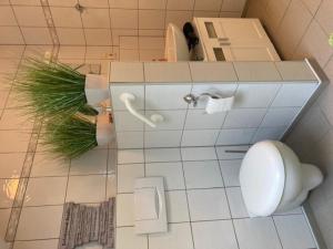 baño con aseo y planta en el suelo en Ferienwohnung Lenneblick, en Plettenberg
