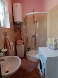 een badkamer met een douche, een wastafel en een toilet bij Kuća za odmor Ana in Ražanac