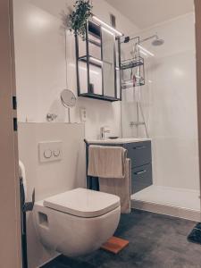 a white bathroom with a toilet and a shower at Ferienwohnung Paula Winterberg in Winterberg