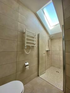 a bathroom with a shower with a toilet and a skylight at Dvi Nidos in Nida
