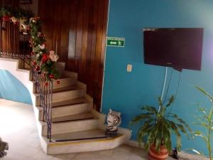 a staircase leading up to a balcony with a cat sitting on it at Yellow House Hostel in Medellín