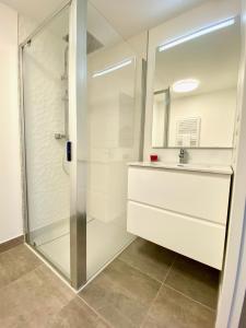La salle de bains est pourvue d'une douche et d'un lavabo. dans l'établissement Venus YourHostHelper, à Caen