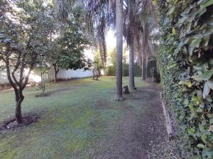 un chemin à travers un parc planté d'arbres et d'herbe dans l'établissement Studio Estrada 2 Escobar, à Belén de Escobar