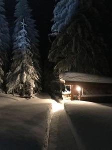 una cabina nella neve di notte con gli alberi di Alpenchalet im Steirischen Salzkammergut a Tauplitz