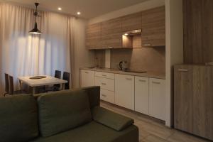 Kuchyňa alebo kuchynka v ubytovaní Apartamenty Doliny