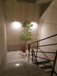 Fotografia z galérie ubytovania Apartamenty Doliny v destinácii Szczyrk