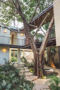 a house with a large tree in front of it at TreeHouse Boutique Hotel, an adults only boutique hotel in Mérida