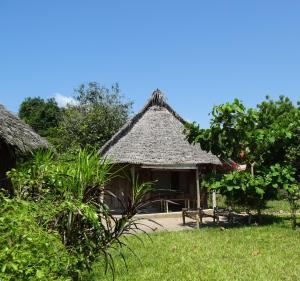uma pequena cabana com telhado de palha num campo em Jabar Lodge em Zanzibar