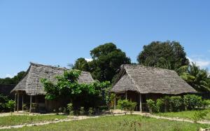 two houses with thatched roofs in a field at Jabar Lodge in Zanzibar City