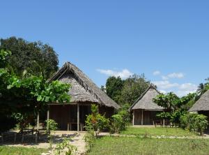 a group of bungalows with thatched roofs at Jabar Lodge in Zanzibar City