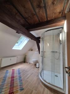 Phòng tắm tại Fewo am Reiterhof