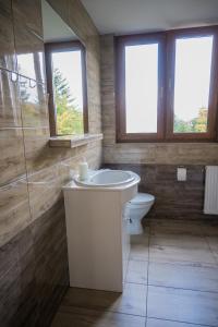 a bathroom with a tub and a toilet and windows at uDany Villa Apartament in Szczyrk