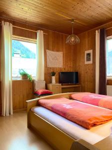 A television and/or entertainment centre at Waldruhe Appartements