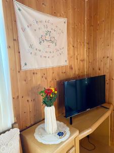 A television and/or entertainment centre at Waldruhe Appartements