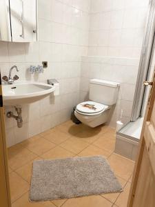 a bathroom with a toilet and a sink at Waldruhe Appartements in Sankt Jakob in Defereggen