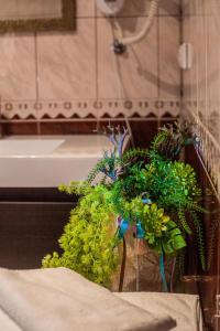 a bunch of plants sitting in a bathroom sink at Svečių namai Banga in Paplatelė