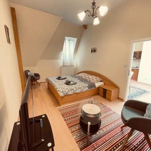 Postel nebo postele na pokoji v ubytování Salve Teplice