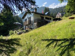 Galeriebild der Unterkunft Ca Pedrot Do-Minus Mountain Cottage & mini spa in Monte Carasso
