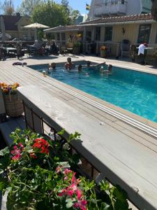 a group of people swimming in a swimming pool at Två Små Svin BnB in Trosa