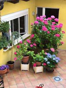 Zahrada ubytování Hostal Escartín