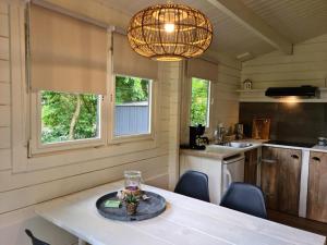 cocina con mesa, sillas y lámpara de araña en Casa Ibiza is vakantie in Drenthe, en Schoonebeek
