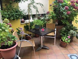 Zahrada ubytování Hostal Escartín