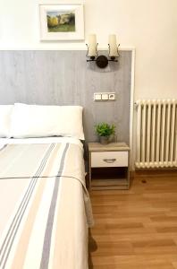 Postel nebo postele na pokoji v ubytování Hostal Escartín