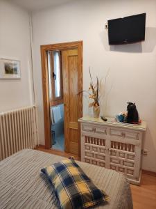 TV a/nebo společenská místnost v ubytování Hostal Escartín