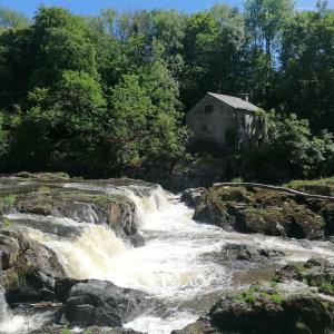 a river with rapids and a building in the background at Cottage by the river in Cenarth with fishing and Wifi in Cenarth