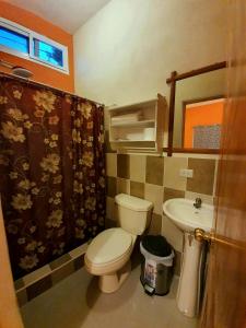 a bathroom with a toilet and a sink at APARTHOTEL VISTA LAGO in Flores