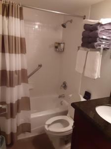 a bathroom with a toilet and a shower and a sink at Little Harbor Resort #202 Tampa Bay FL Beach, Hot Tub, Pools in Ruskin +32 photos