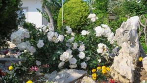 Ein Garten an der Unterkunft Apartments Opsenica