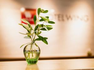 Certifikát, hodnocení, plakát nebo jiný dokument vystavený v ubytování Hotel Wing International Takamatsu