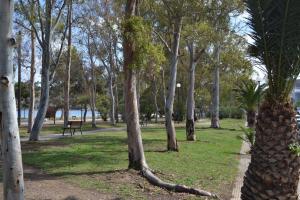 a park with a bunch of trees and a path at Filoxenia Hotel in Volos