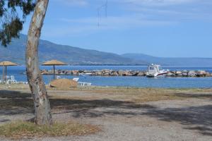 a beach with chairs and umbrellas next to the water at Filoxenia Hotel in Volos