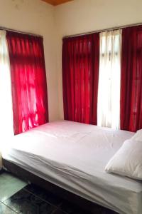 Foto da galeria de Gebby Homestay Bromo RedPartner em Pasuruan