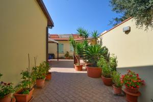 a bunch of potted plants in pots on a courtyard at La Papaya in Marina di Pisa