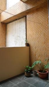 une chambre avec des plantes en pot à côté d'un mur en briques dans l'établissement 棲息所 Habitat Inn, à Yuanlin